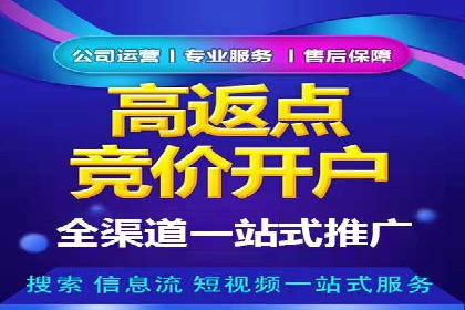 行业内的SEM竞价代运营公司优秀案例剖析